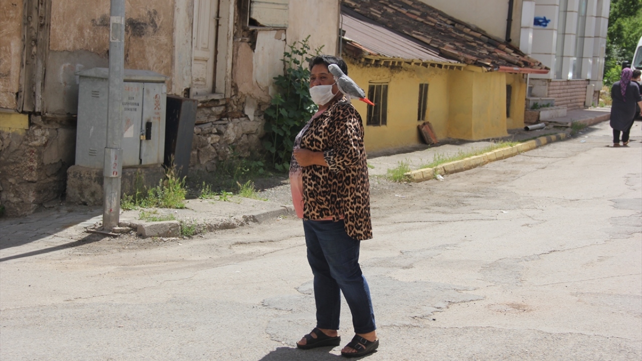 Kızılırmak Mahallesi`nde yaşayan Karabulut, 11 yıl önce 600 lira ihtiyaç kredisi çekerek İstanbul`dan bir papağan satın aldı. Karabulut, ilçeye getirdiği papağanına "Sabri" adını verdi. 