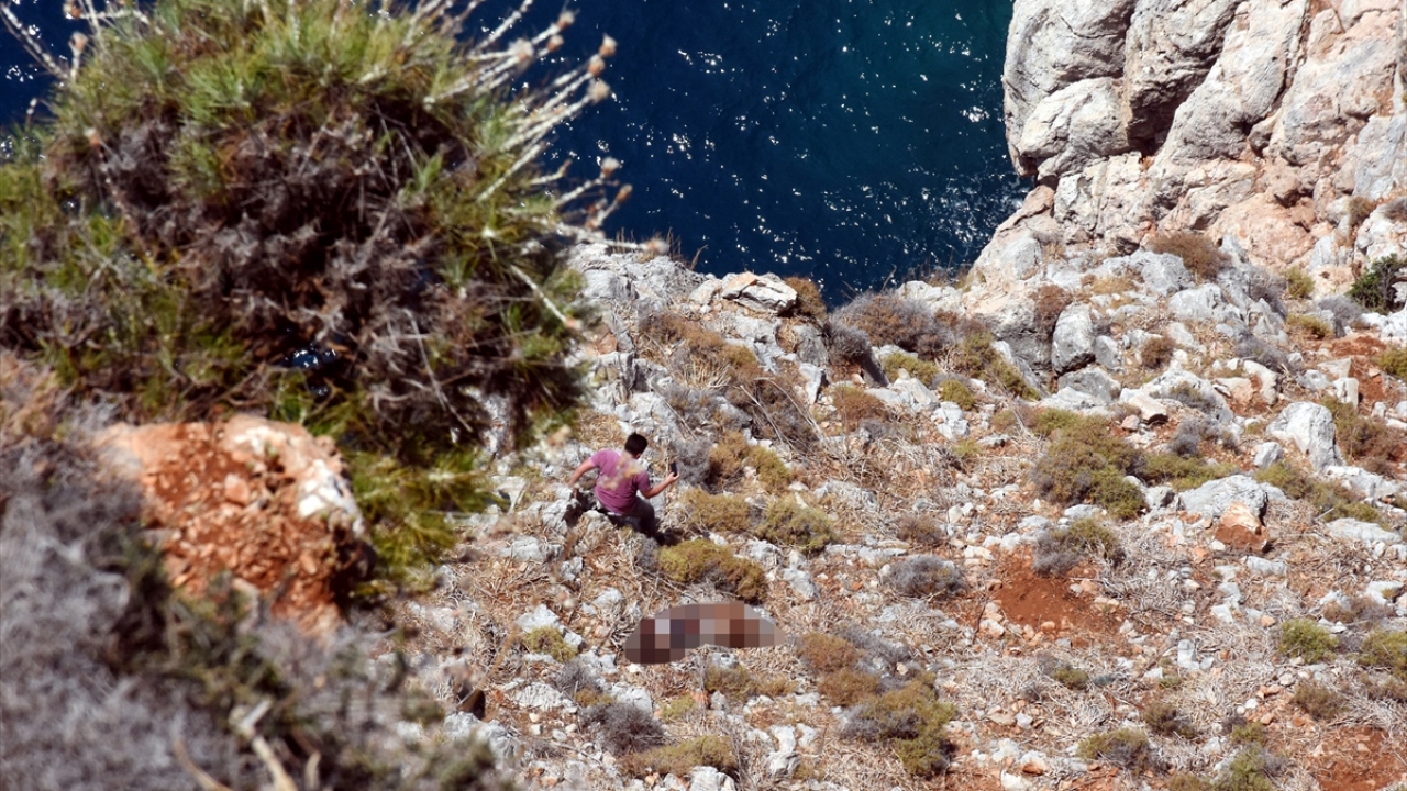 Polis ekipleri, gencin en son Hisariçi Mahallesi Cilvarda Burnu mevkisinde olduğunu tespit etti.