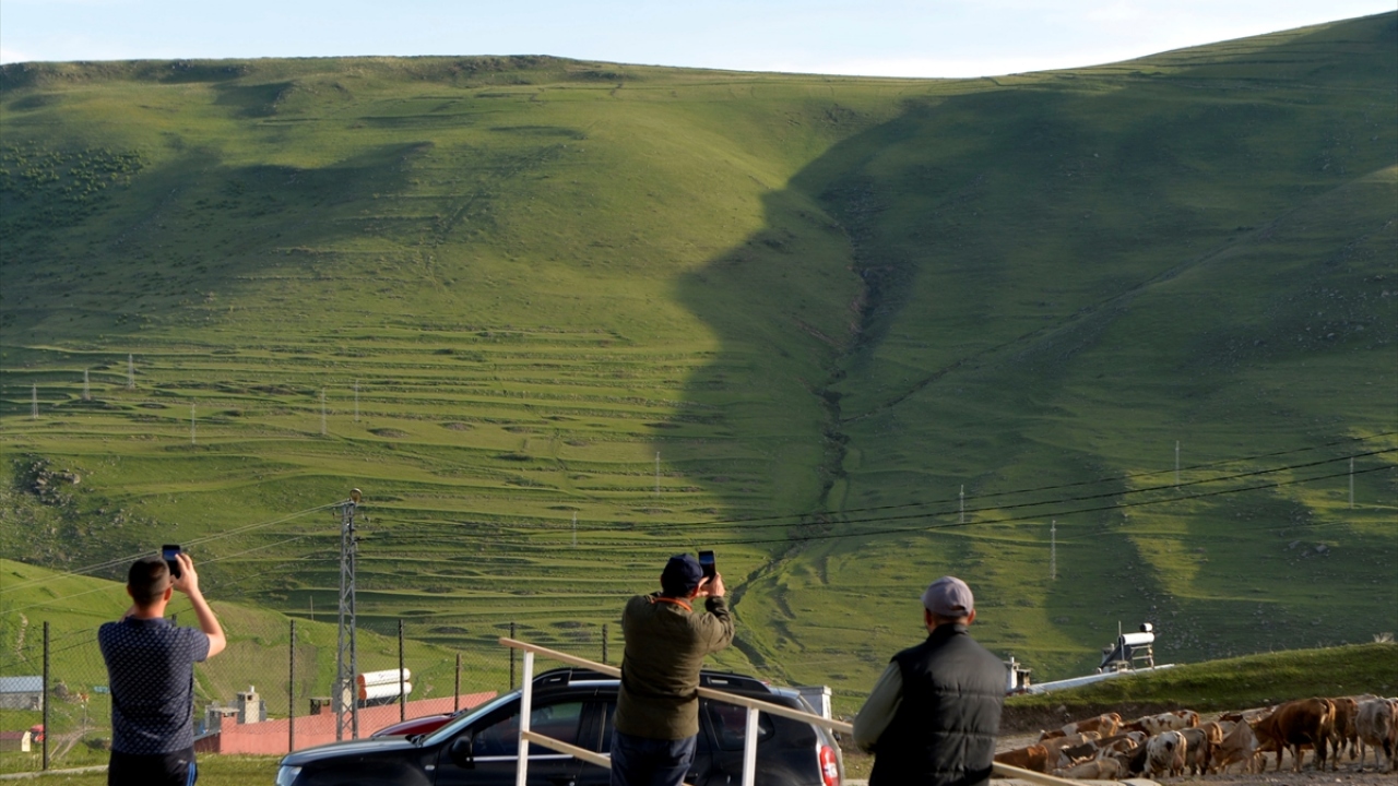 Doğanın yeşilliğiyle buluşan silüet güzel görüntü oluşturdu.