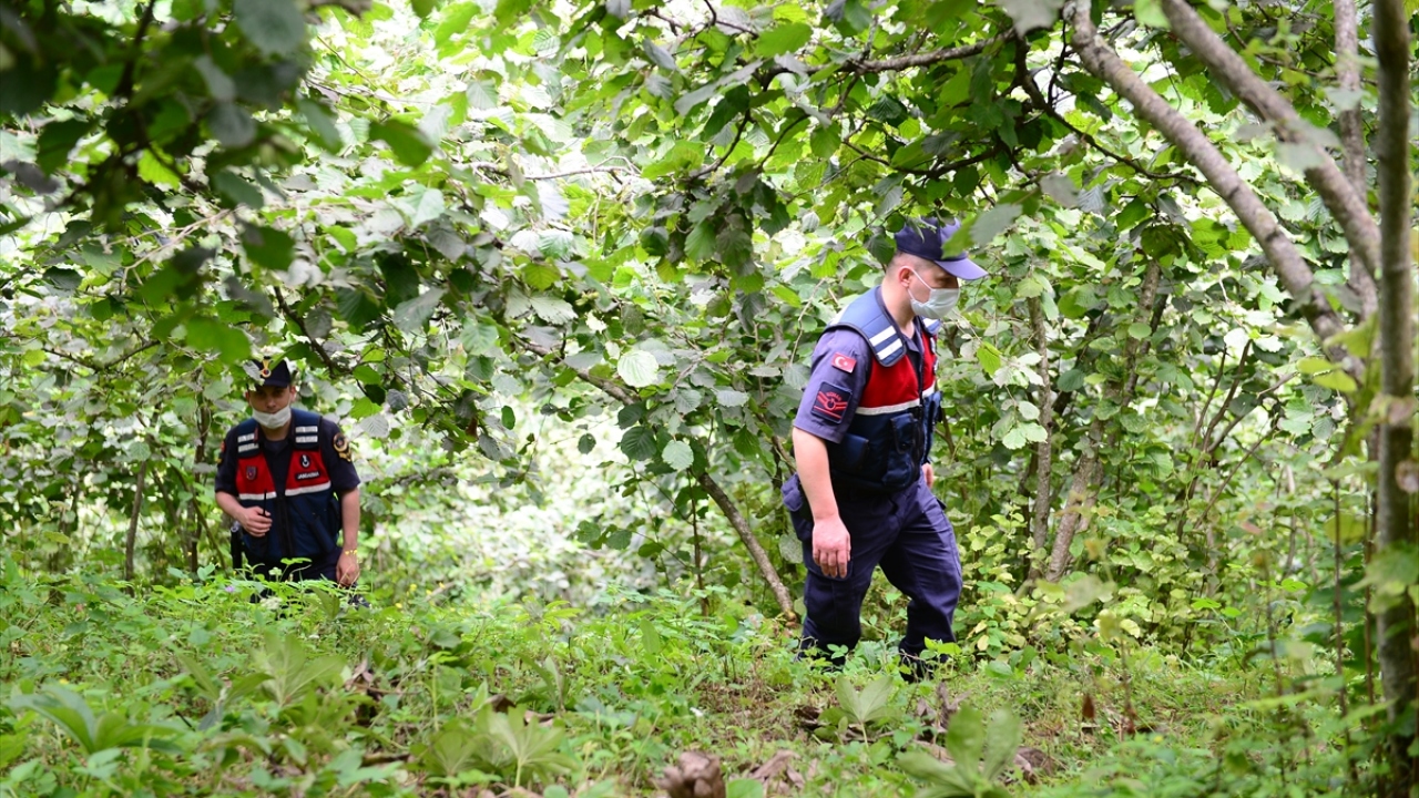 Çalışmaların 4. gününde bölgede jandarma özel harekat, Giresun, Trabzon ve Samsun İl Afet ve Acil Durum Müdürlükleri (AFAD), Giresun AKUT, UMKE ekipleri, 2 iz takip köpeği ile Tirsi`nin bulunması için çalışmalara devam ediyor.
