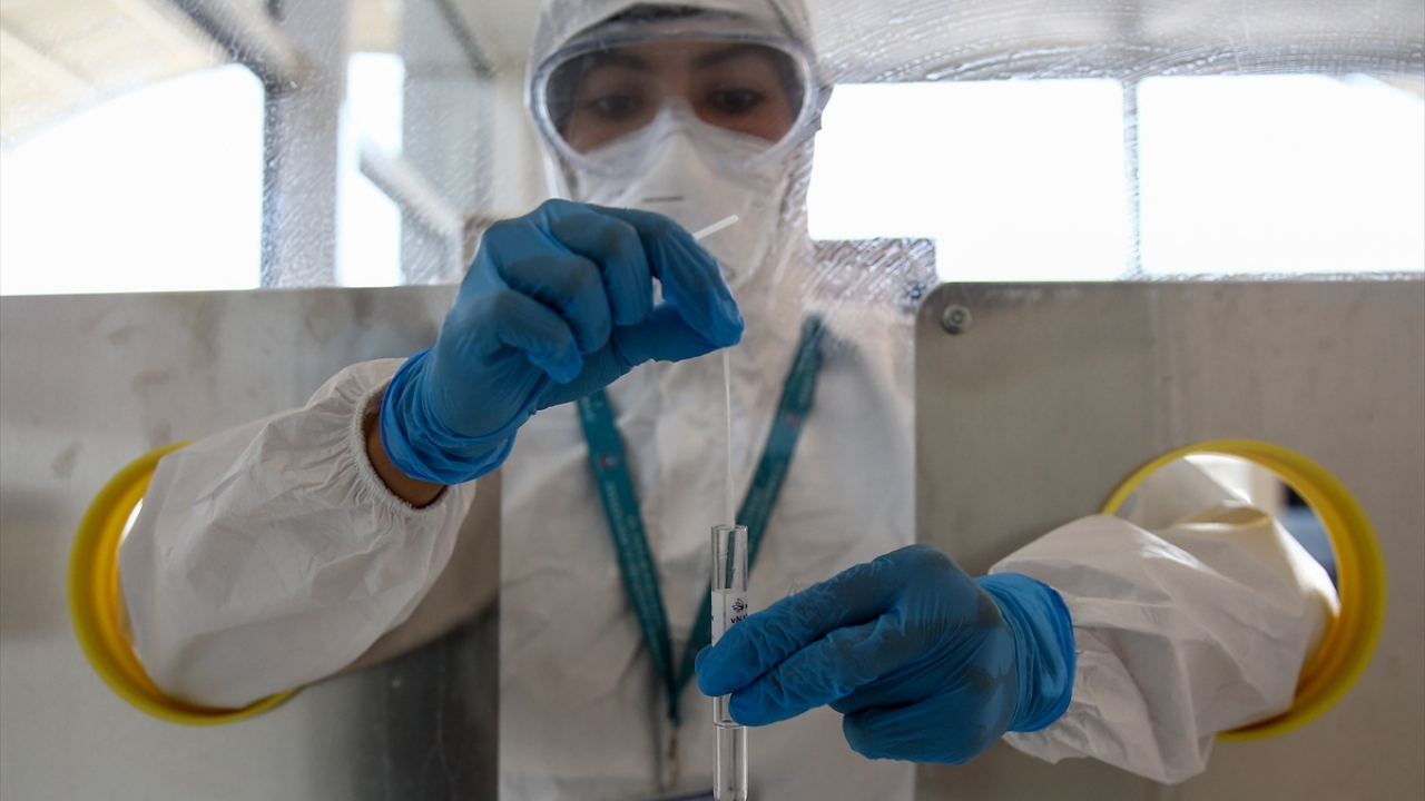 Hülür, PCR testini zorunlu kılan ülkeler olduğunu belirterek, şöyle konuştu: