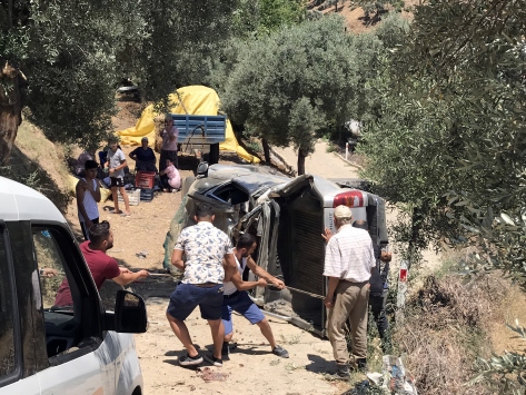 Aydında kamyonet zeytin bahçesine devrildi: 2 yaralı