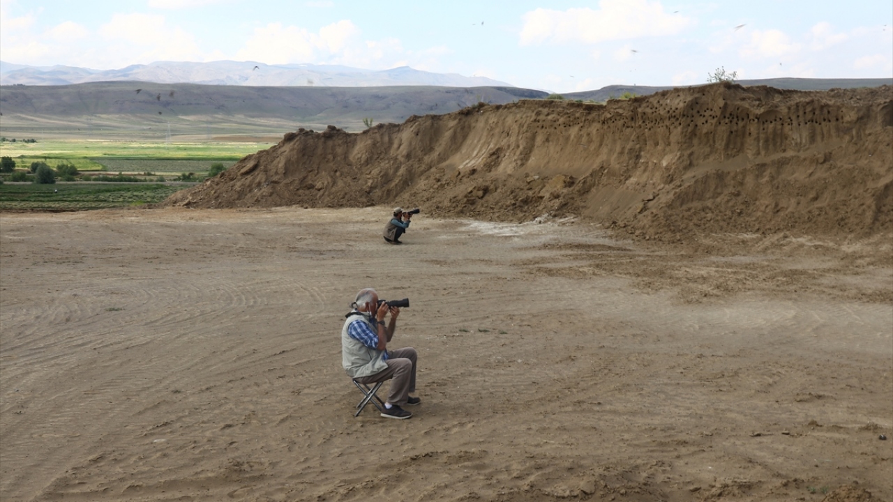 Bunu fark eden vatandaşların toprak almaya ara verdiği tepe, yüzlerce kırlangıç yuvasıyla vatandaşların yanı sıra fotoğraf tutkunlarının mekanı haline geldi.