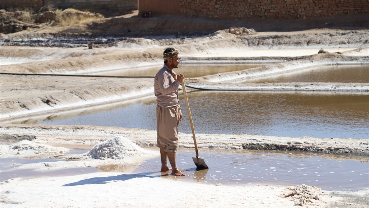 Tuz üretimine nisan ayında başladıklarını, yapay havuzları çamurla kapladıklarını daha sonra doğal kaynaktaki suyu borularla buraya taşıdıklarını aktaran Hovelini, "Haziran ve temmuz aylarında su kuruduktan sonra tuzu toplamaya başlıyoruz." dedi. 