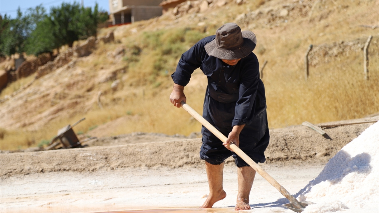 Hovelini, 83 toprak havuz bulunduğunu, yıllık ortalama 400 ton tuz üretildiğini aktardı.