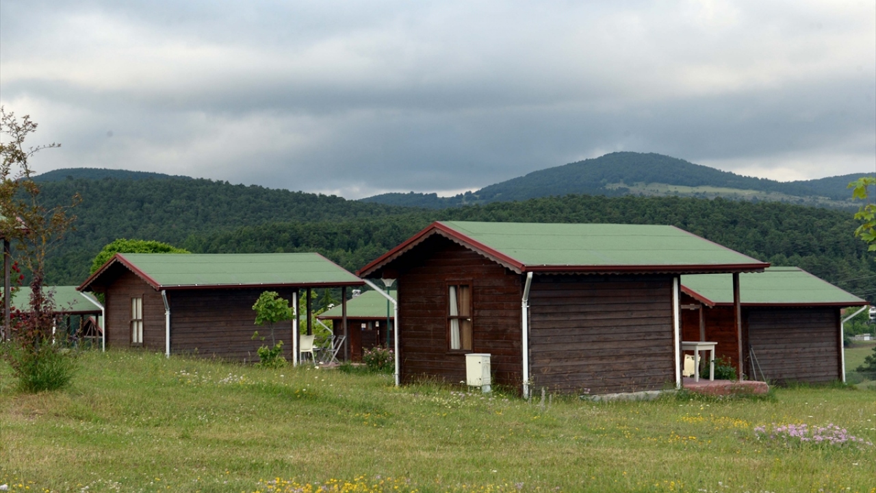 Yaylaya Niksar ilçe merkezinden 15 dakikada ulaşılabiliyor. 