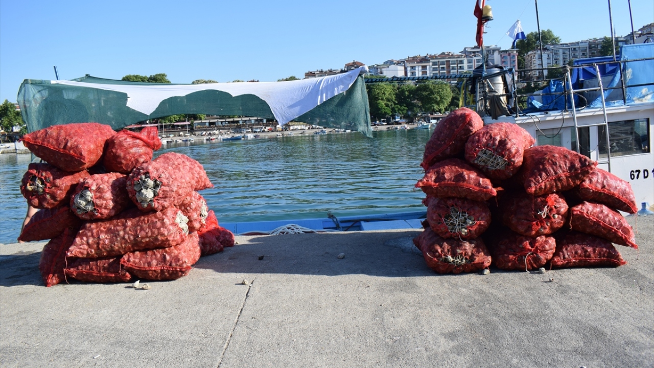 Balıkçılar, sabah teknelerle denize açılarak akşam saatlerine kadar salyangoz topluyor.