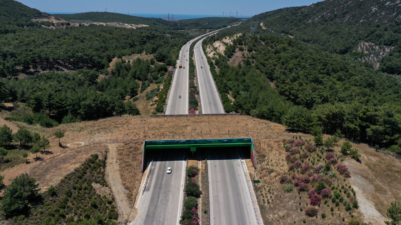 Bakanlık, Karayolları Genel Müdürlüğü ile yaptığı ortak çalışma sonucunda İzmir-Çeşme Otoyolu üzerinde yaban hayvanlarının yolun karşısına geçerken neden olduğu kazaların yerlerini belirledi.