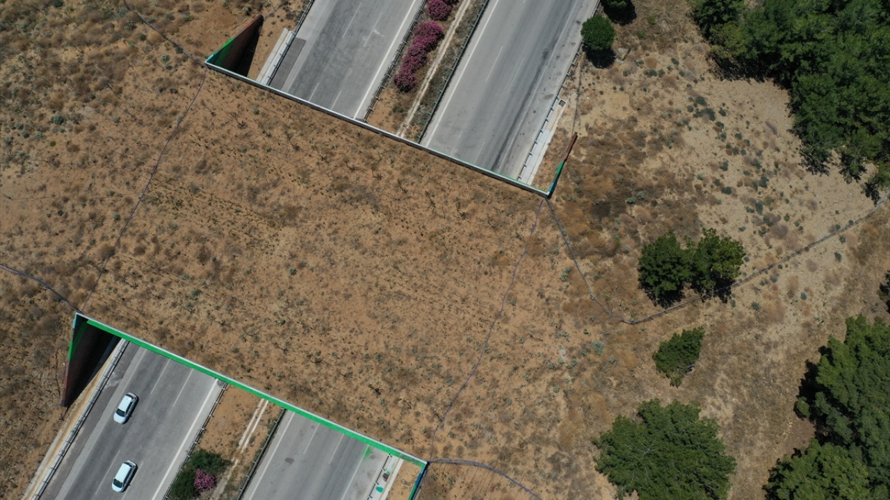 Köprünün tamamlanmasıyla ormanlık alanda yaşayan domuz, tilki gibi yaban hayvanlarının yolun karşı tarafındaki su kaynaklarına ulaşması sağlandı.