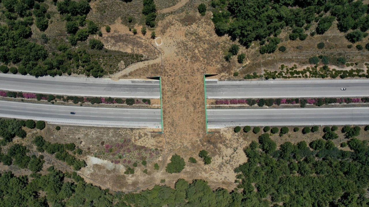 Damlama sulama sisteminin kurulduğu köprünün otoyola bakan dış yüzeylerine dağ manzarası resimleri çizildi. 