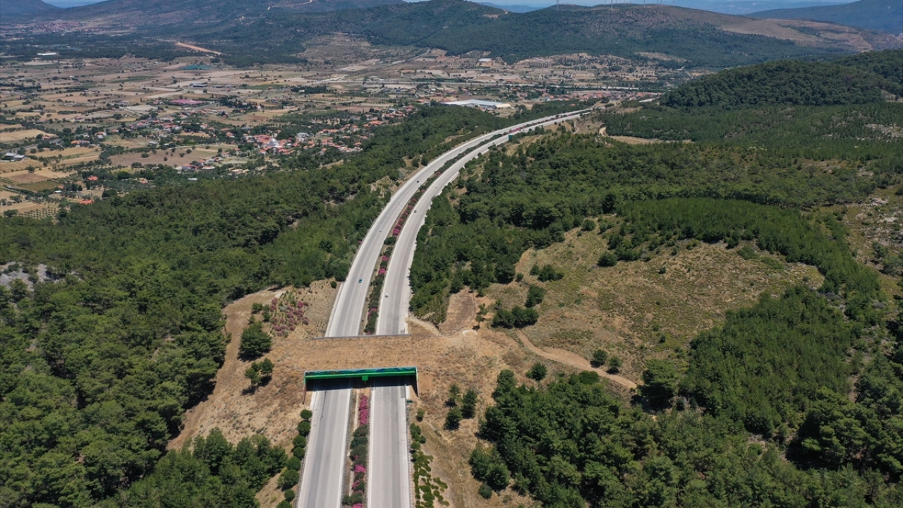 İzmir-Çeşme Otoyolu üzerinde 2 ekolojik köprünün daha yapımı planlanıyor.