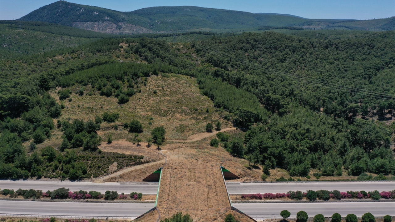 Öte yandan Tarsus - Pozantı Otoyolu ile yapımına başlanan ekolojik köprülerden Kuzey Marmara Otoyolu ve İstanbul - İzmir Otoyolunda da bulunuyor.