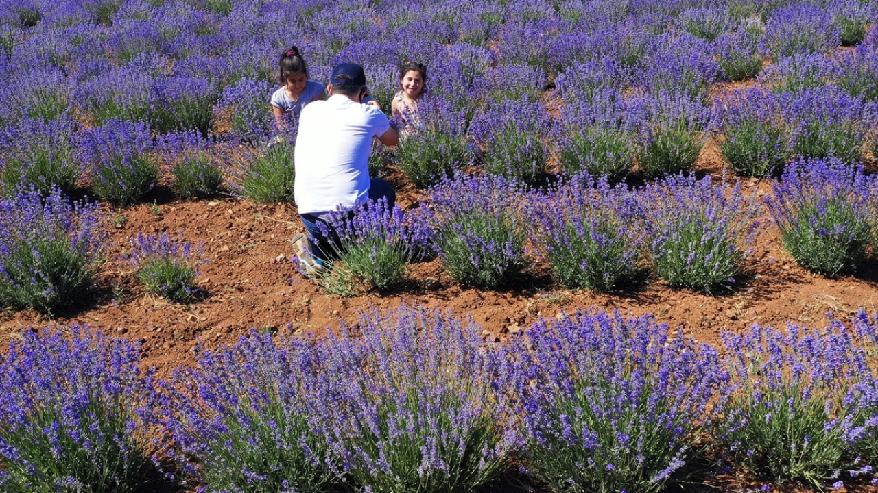 Susam, birçok kişinin tarlasına gelerek fotoğraf çektirmesinden de mutluluk duyduğunu söyledi. 