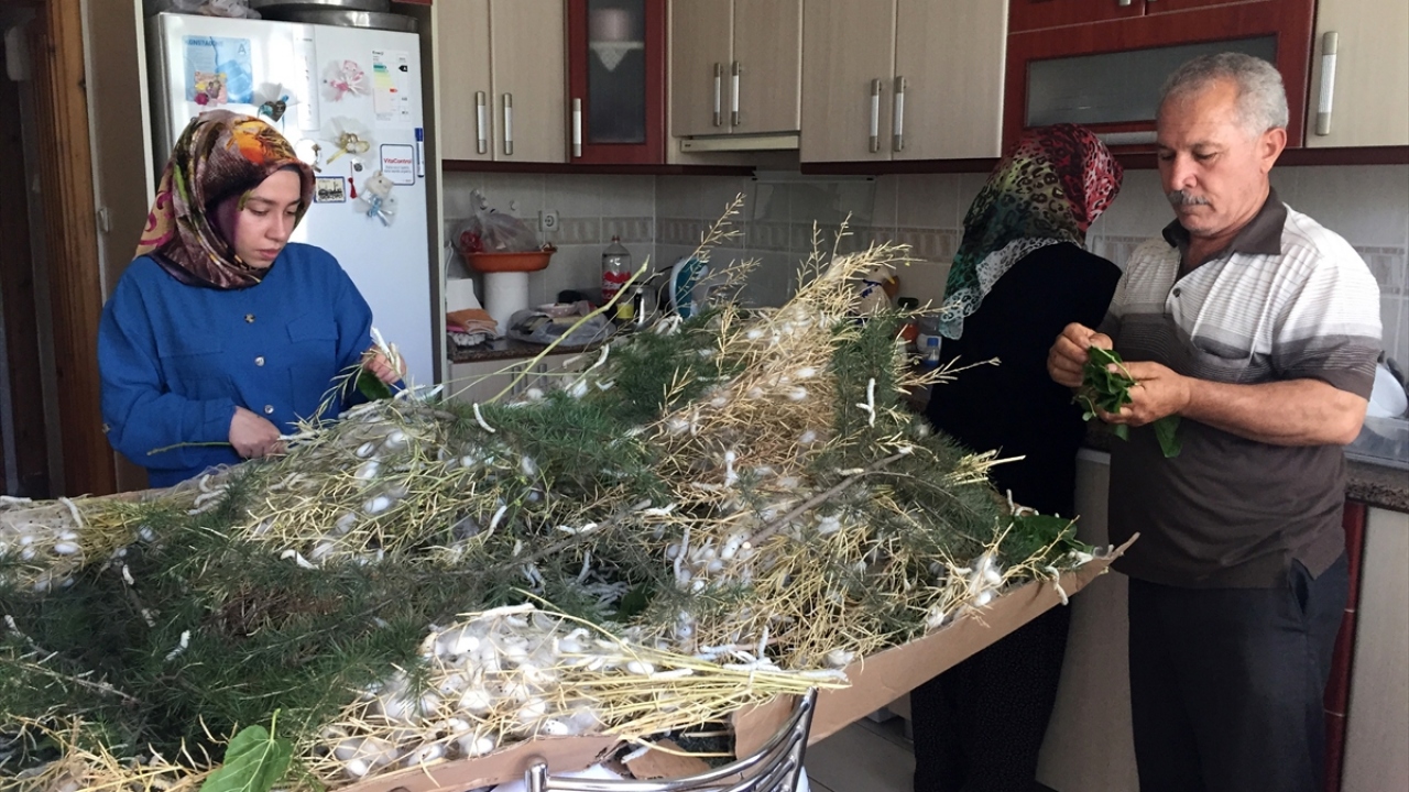 "İlk başta tuhaf geliyordu"