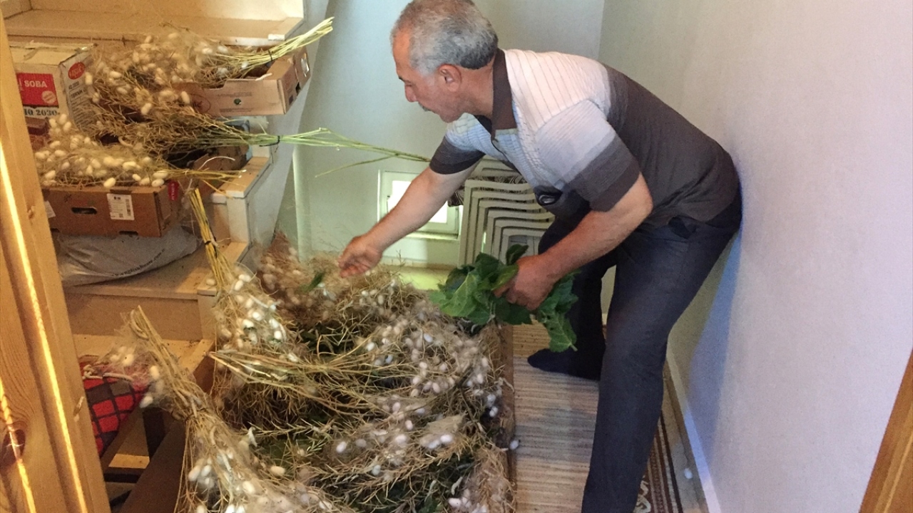 Gül, hedefinin gelecek yıl için özel besleme evini kurarak, bu işten maksimum düzeyde kazanç elde etmek olduğunu ifade etti.