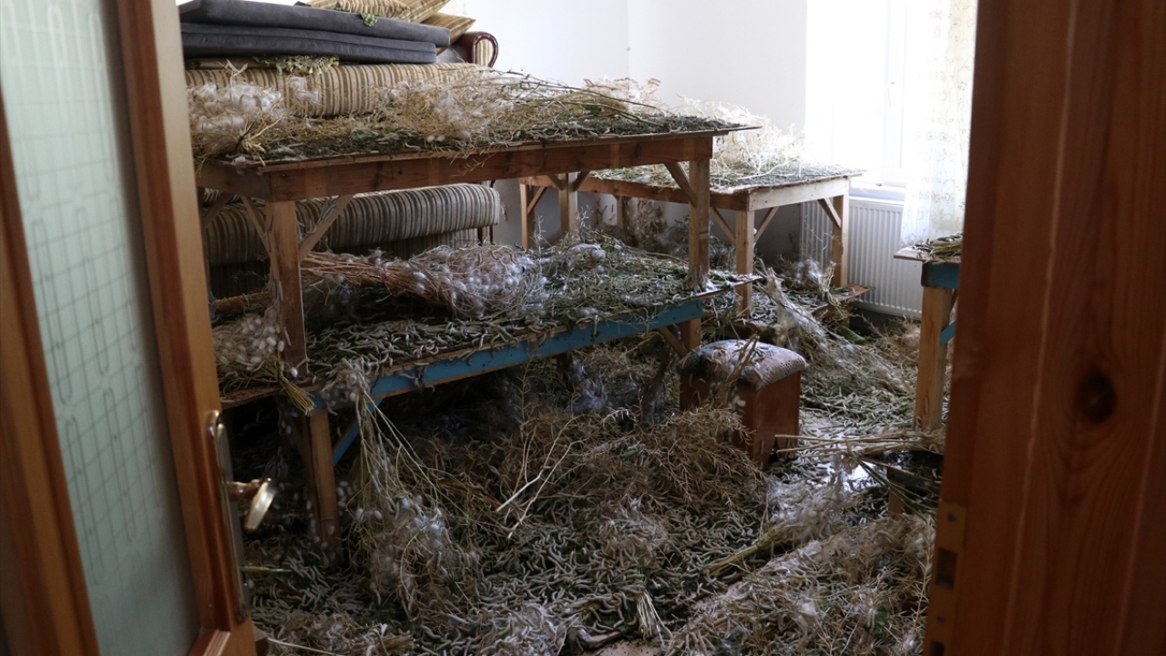 "Terapi gibi geldiğini söyledi"