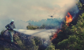 2020'nin ilk 6 ayında 836 orman yangını çıktı