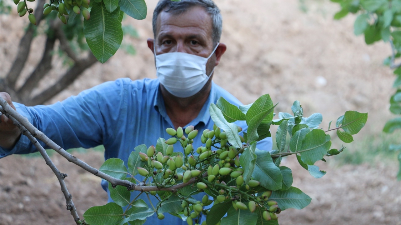 İl ekonomisine katkısı yüksek