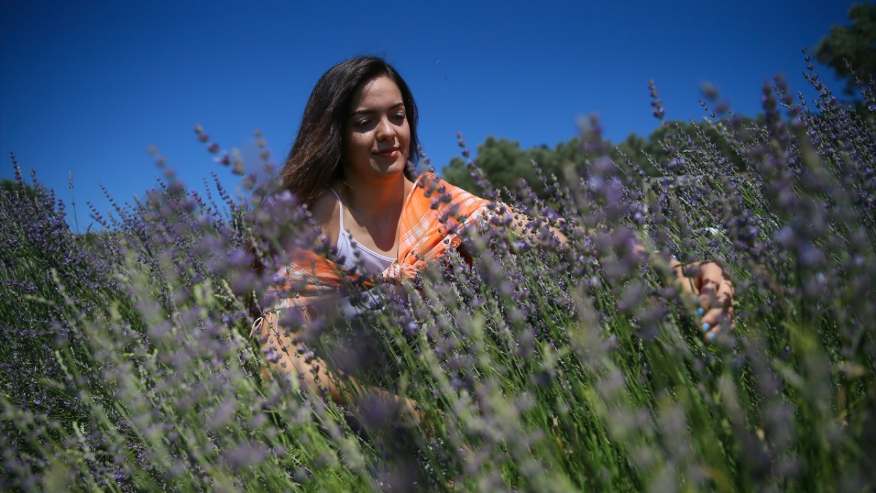 Üniversiteli Bezer, lavantalardan elde ettiği yağ, sabun ve benzer diğer ürünleri bir süre önce kayıt yaptırdığı Tarım ve Orman Bakanlığı DİTAP üzerinden satışa çıkardı.