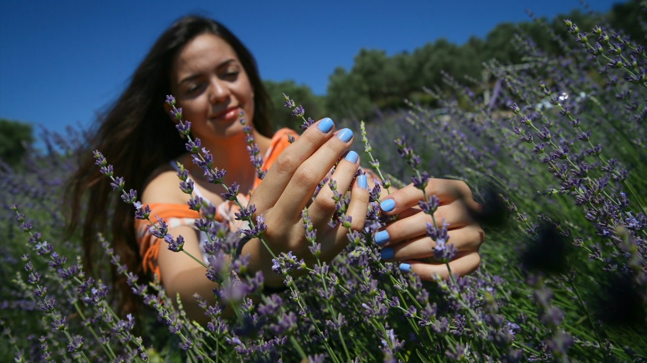 Bezer, yaptığı açıklamada, küçük yaşlarda bahçede ve manavda çalıştığını söyledi. 