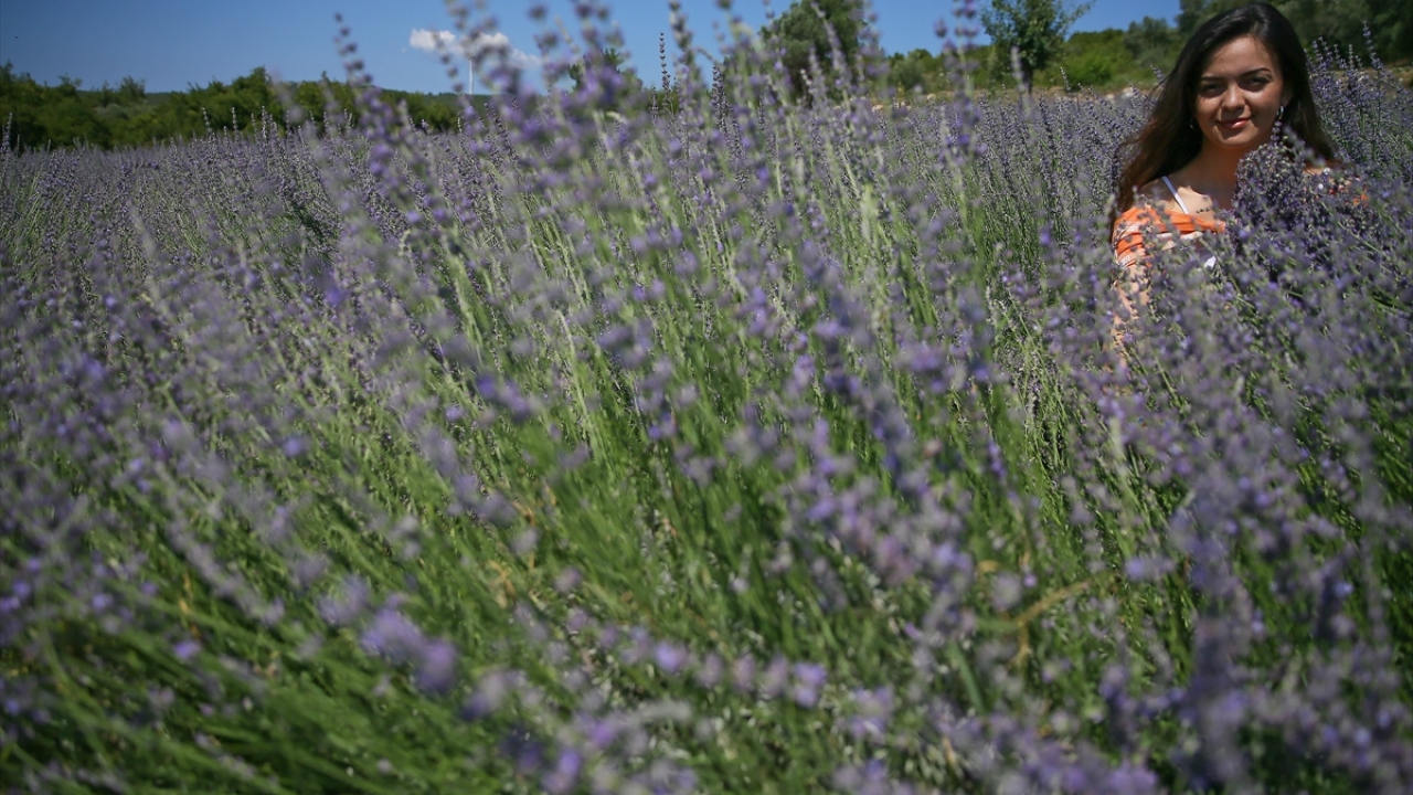 Bağ ve bahçe işleriyle ilginlediği için çok mutlu olduğunu belirten Bezer, domates, biber, salatalık gibi geleneksel ürünlerin yanına 2016`da lavanta da eklediklerini dile getirdi. 