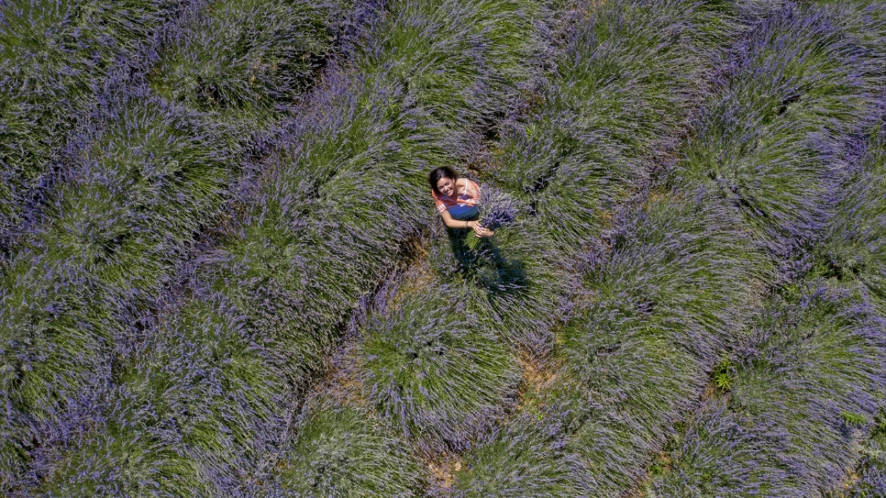 Sadece ticaret ve pazarlama kısmıyla değil hasat ve bahçe işleriyle de yakından ilgilendiğine işaret eden Bezer, "Aileme destek oluyorum. Bu şekilde tüm köye örnek olmaya çalışıyorum." ifadelerini kullandı.
