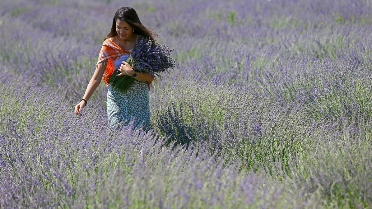 "İşsiz genç olmak istemiyorum"