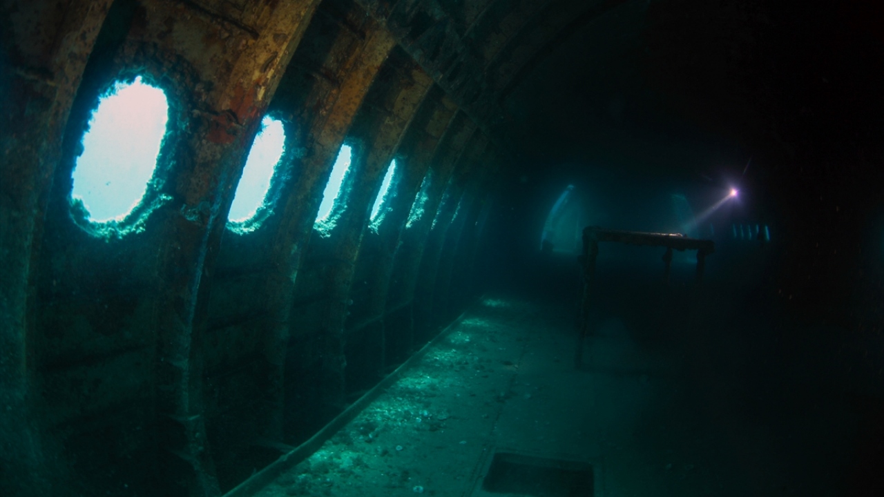 Özel bir hava yolu şirketinde yaklaşık 36 yıl hizmet verdikten sonra 2016 yılında Kuşadası`na batırılan 54 metre uzunluğunda, 44 metre kanat genişliğinde ve 47 ton ağırlığındaki Airbus A300 kargo uçağı, balıklar için önemli bir resif noktası oldu.