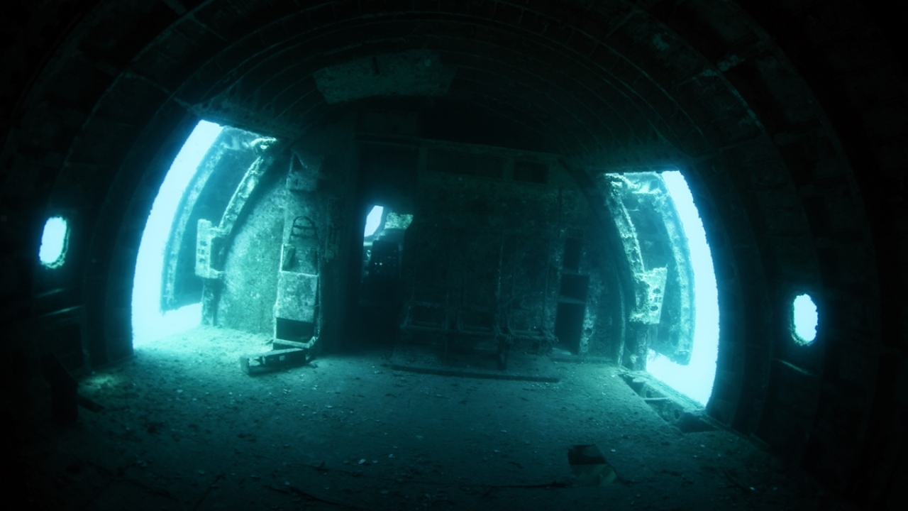 Uçağın gövde dahil tüm kısımlarının halen ilk günkü halini koruması dikkati çekerken, batığın içerisinde ise birçok balık türü görüntülere yansıdı.