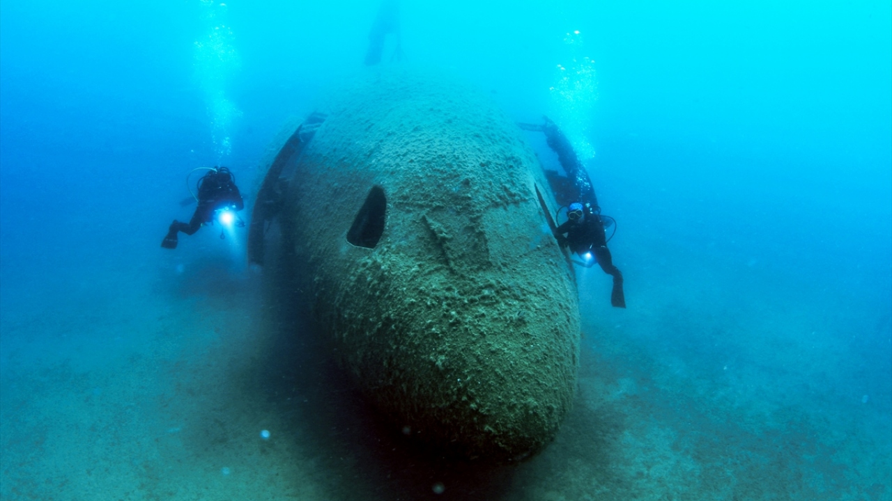 Saraçoğlu, "Burada birçok canlı türünü görmek mümkün. Karagöz ve sargoz sürülerini görmek mümkün. Uçağın bağlı olduğu tonoz yuvalarında mığrı balıkları ve yanında bulunan bir yengeçle karşılaştık." dedi.