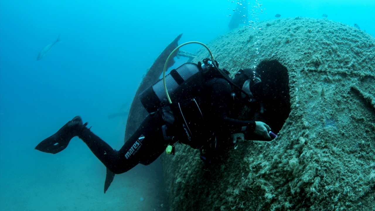 Uçağa dalış yapan Ezgi Vatansever ise "Türkiye`nin farklı noktalarında dalış yaptım. Batık uçağa dalmak ise çok ayrı bir keyif. Orada resifleşmiş bir batığı gözlemlemek çok keyifliydi. Herkesin de görmesini istiyorum." dedi.