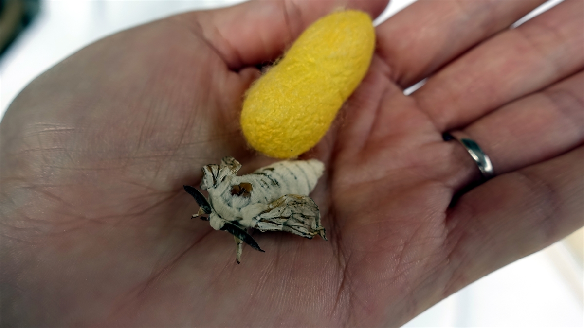 Bilimsel araştırma, sürdürülebilirliğe katkı sunacak 