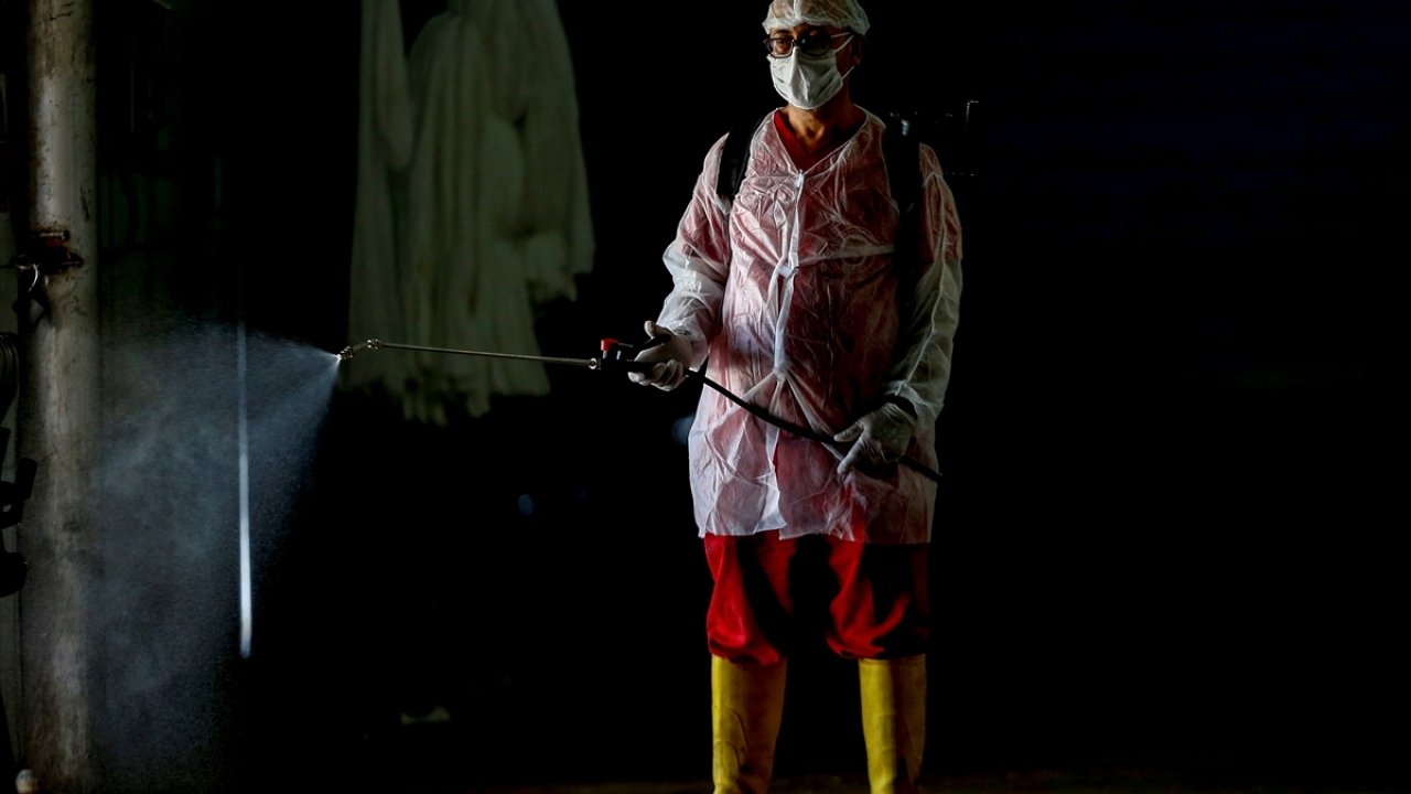 Antalya`da kasaplar, mezbahalarda özel tulumlar giyerek, maske, eldiven ve baret takarak kesimi gerçekleştirecek.