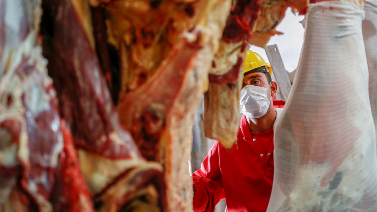 Çok dikkatli olunması gerektiğini aktaran Yardımcı, mezbahanın ve etin yüklendiği kamyonların her defasında dezenfekte edildiğini, sıcak suyla yıkandığını bildirdi.