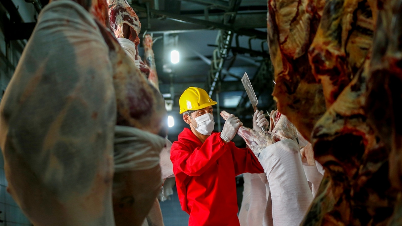 Yardımcı, kurban keseceklere eğitim verdiklerini de ifade etti.