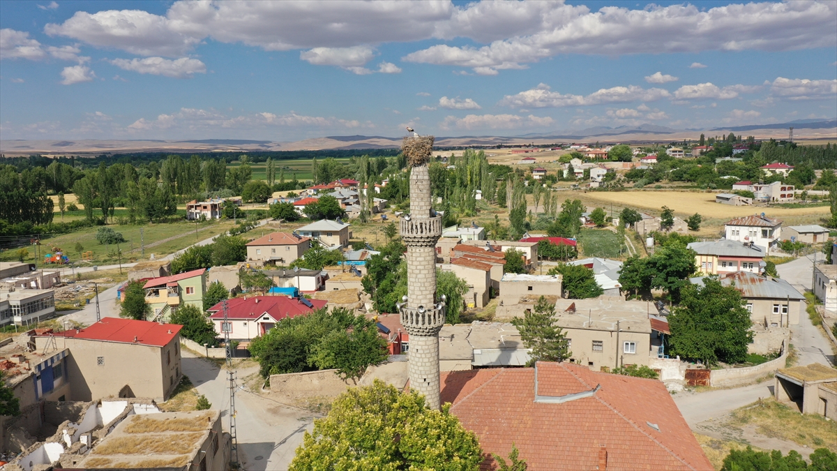 Merkez Onikişubat ilçesine bağlı Kumarlı, Kaynar ve Çukurhisar mahalleleri ile Elbistan ilçesinin Çiçek Mahallesi, yaklaşık 60 yıldır leyleklere ev sahipliği yapıyor. 