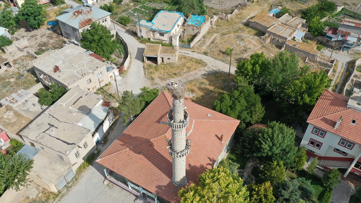 Mahalle içlerindeki ahşap direklere ve bir minareye yuva yapan leylekler, tüm mahalleli tarafından korunuyor. 