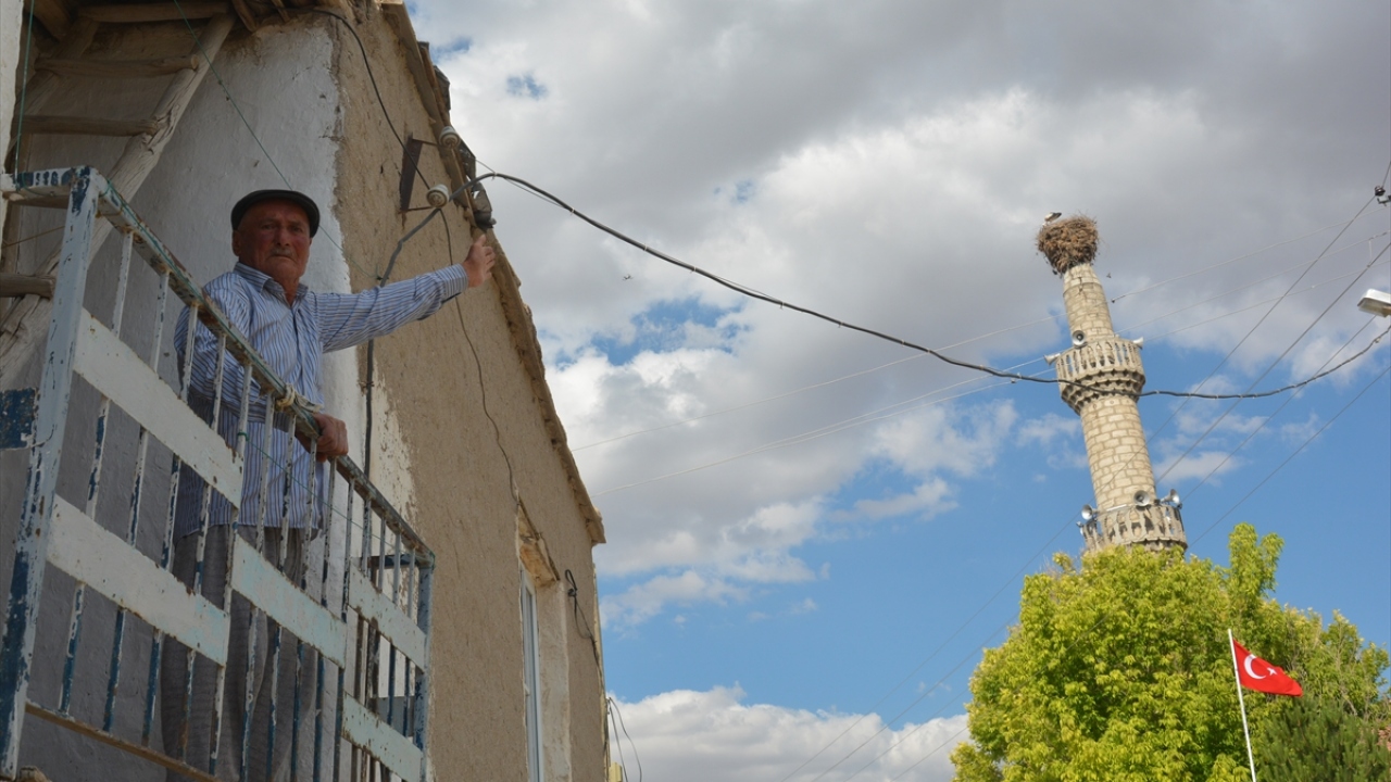 Mart ayı sonunda bölgeye gelen leylekler, sonbaharda sıcak iklimlerin yolunu tutuyor.