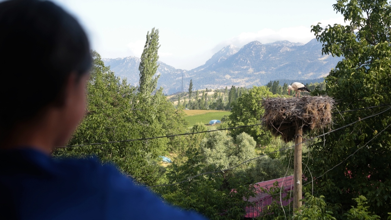 Çocukların kuşlara taş atmaması için uyarılarda bulunan vatandaşlar, yuvaların zarar görmemesi için de her türlü önlemi alıyor.
