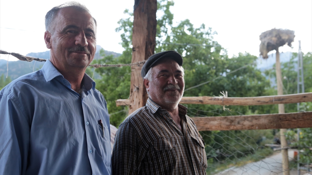 Kumarlı Mahallesi Muhtarı Celal Daşçı, yaptığı açıklamada, çocukluğundan beri her yıl gelen leylekleri gözleri gibi koruduklarını söyledi.