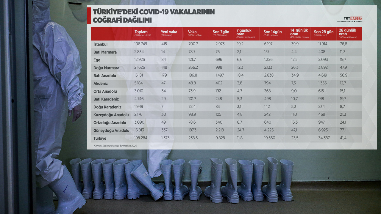 Vakaların coğrafi dağılımı 