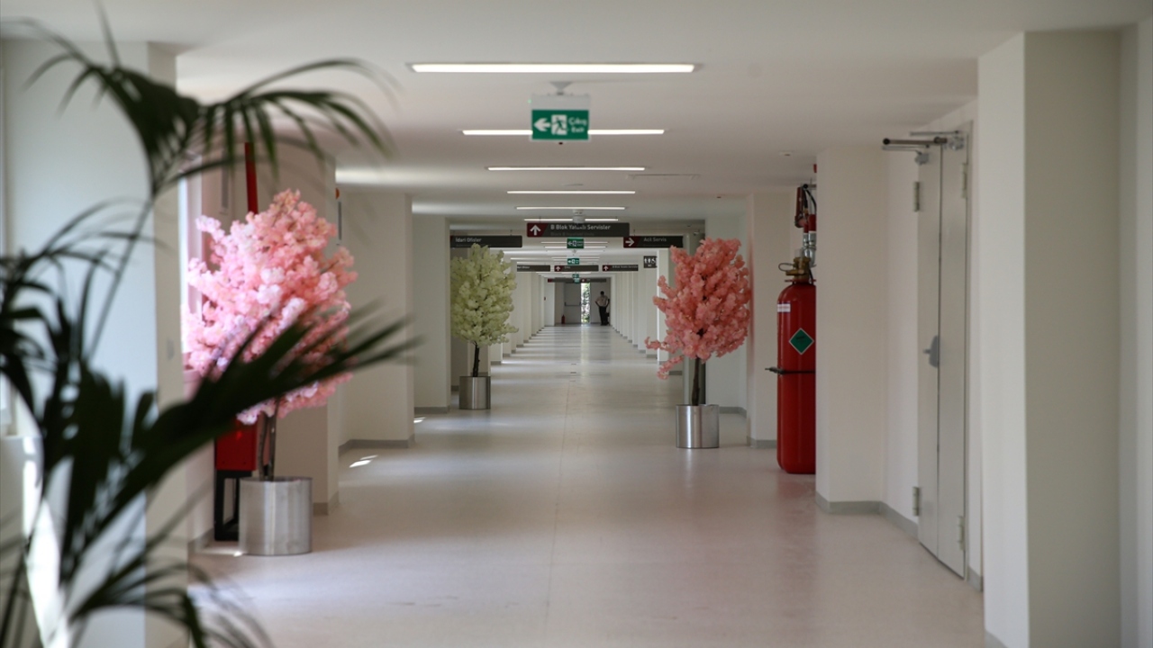 Uzun yıllar hekim ve akademisyen olarak çalışan, binlerce öğrenci yetiştiren "hocaların hocası" Dilmener, alçakgönüllülüğü, idealistliği, azmi, çalışkanlığı, merhameti ve yardımseverliği ile tanındı.