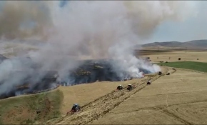 Buğday tarlasındaki yangının büyümesini böyle engellediler