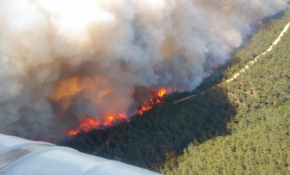Gelibolu Yarımadası'nda orman yangını