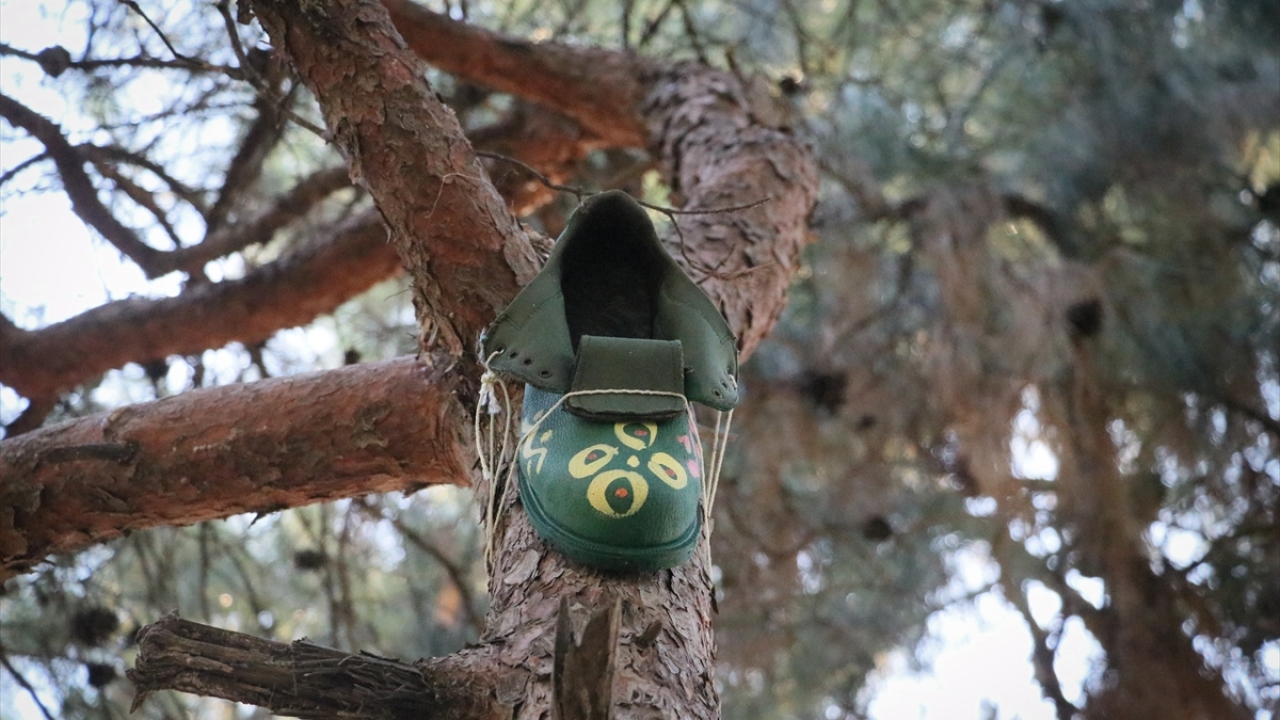 Ayakkabıdan yapılan yuvaları, merdiven yardımıyla ağaçların üst kısımlarına asan grup üyelerinin amacı; kış aylarında kuşların bir sığınağının olması. 