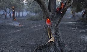 Gelibolu yangınından termal kamera görüntüleri