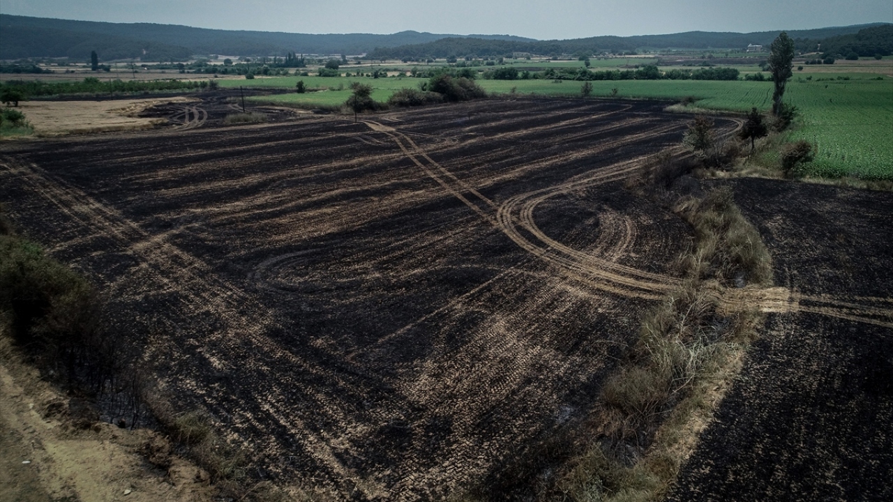 Çanakkale`nin Gelibolu ilçesi Ilgardere ile Eceabat ilçesi Yalova köylerinin yakınında başlayan yangına havadan ve karadan çok sayıda ekiple müdahale edildi.