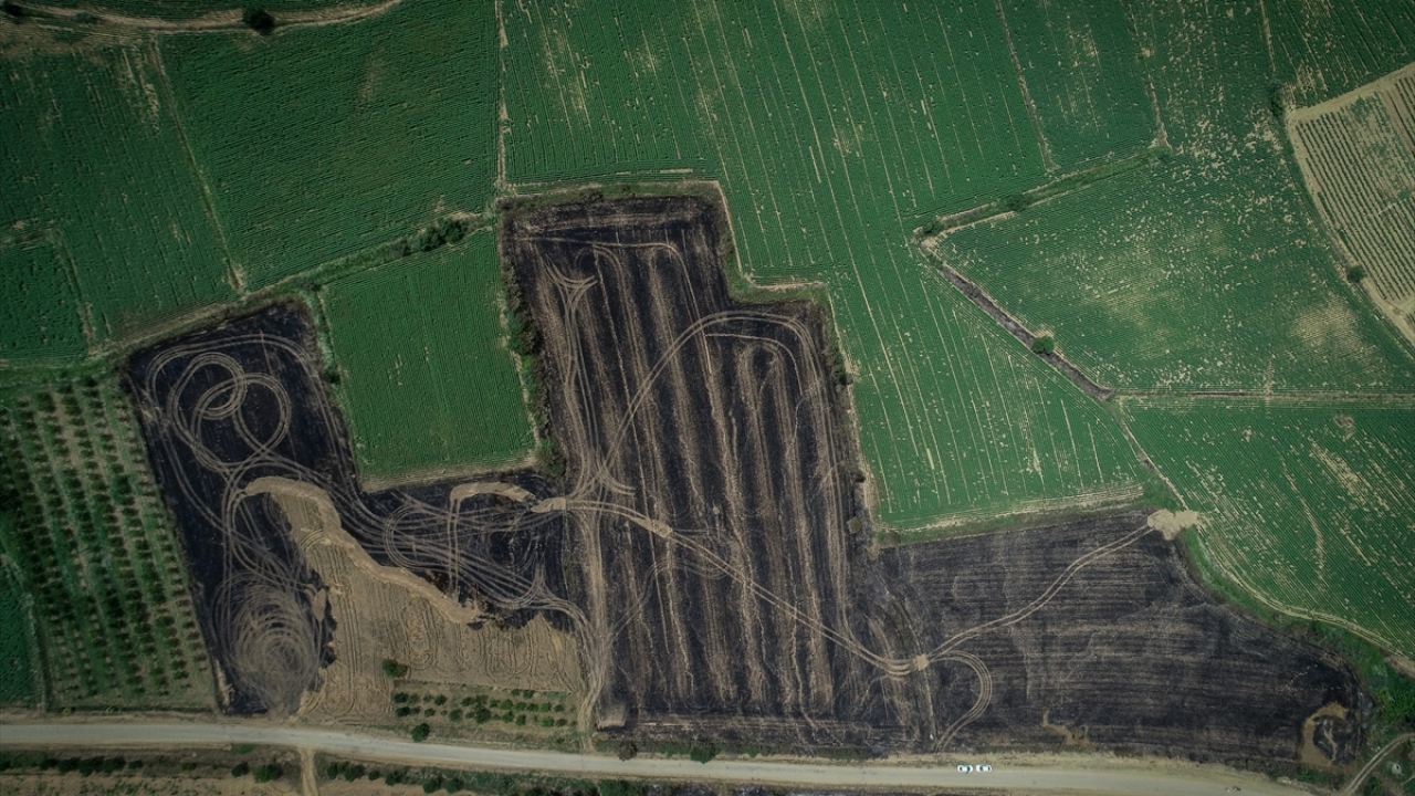 Müdahale operasyonunu Tarım ve Orman Bakanı Bekir Pakdemirli`nin koordine ettiği yangın, ilk belirlemelere göre 450 hektarlık alanda etkili oldu.