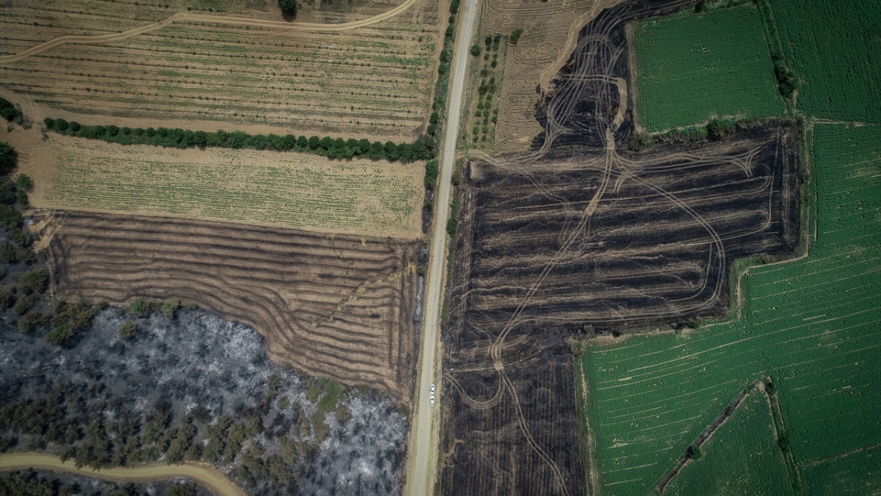 Bölgede dün çıkan yangın, yarımadanın orta ve üzeri yaşlardaki sakinlerine 26 yıl öncesini hatırlattı.
