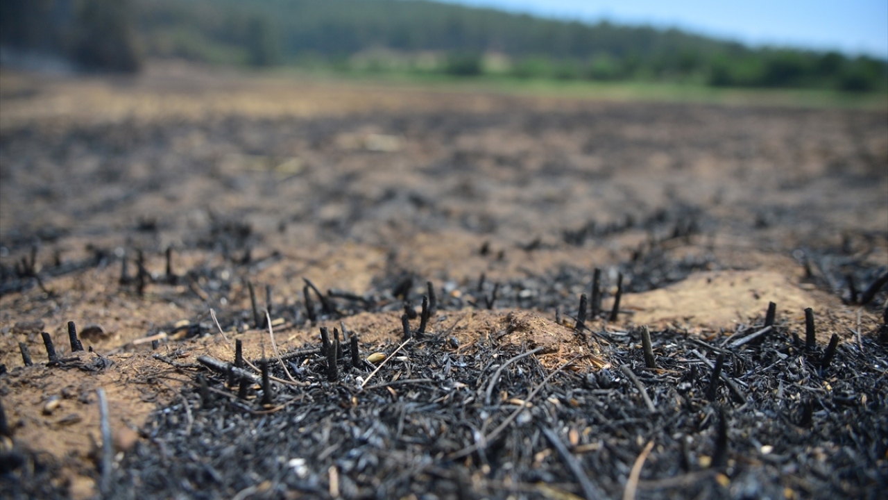 Saatteki hızı 70 kilometreye ulaşan rüzgarın da etkisiyle kısa sürede büyüyen yangın bölgede büyük paniğe neden oldu.